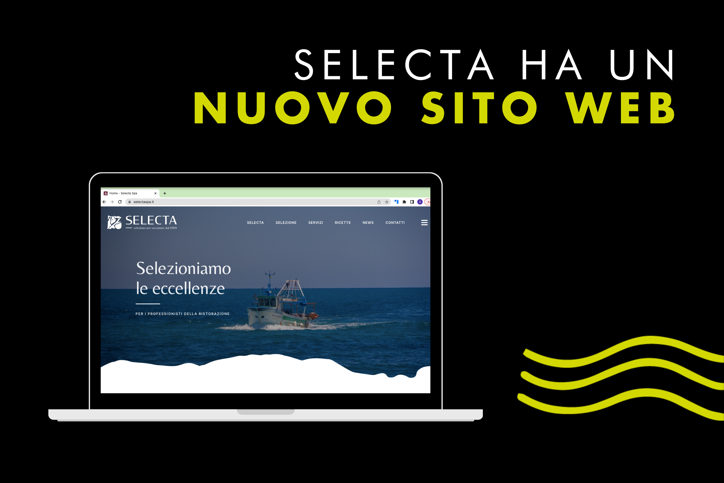 Take a look: Ecco il nuovo sito web aziendale di Selecta