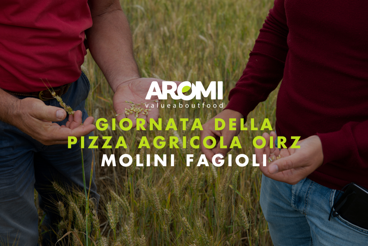 news aromi