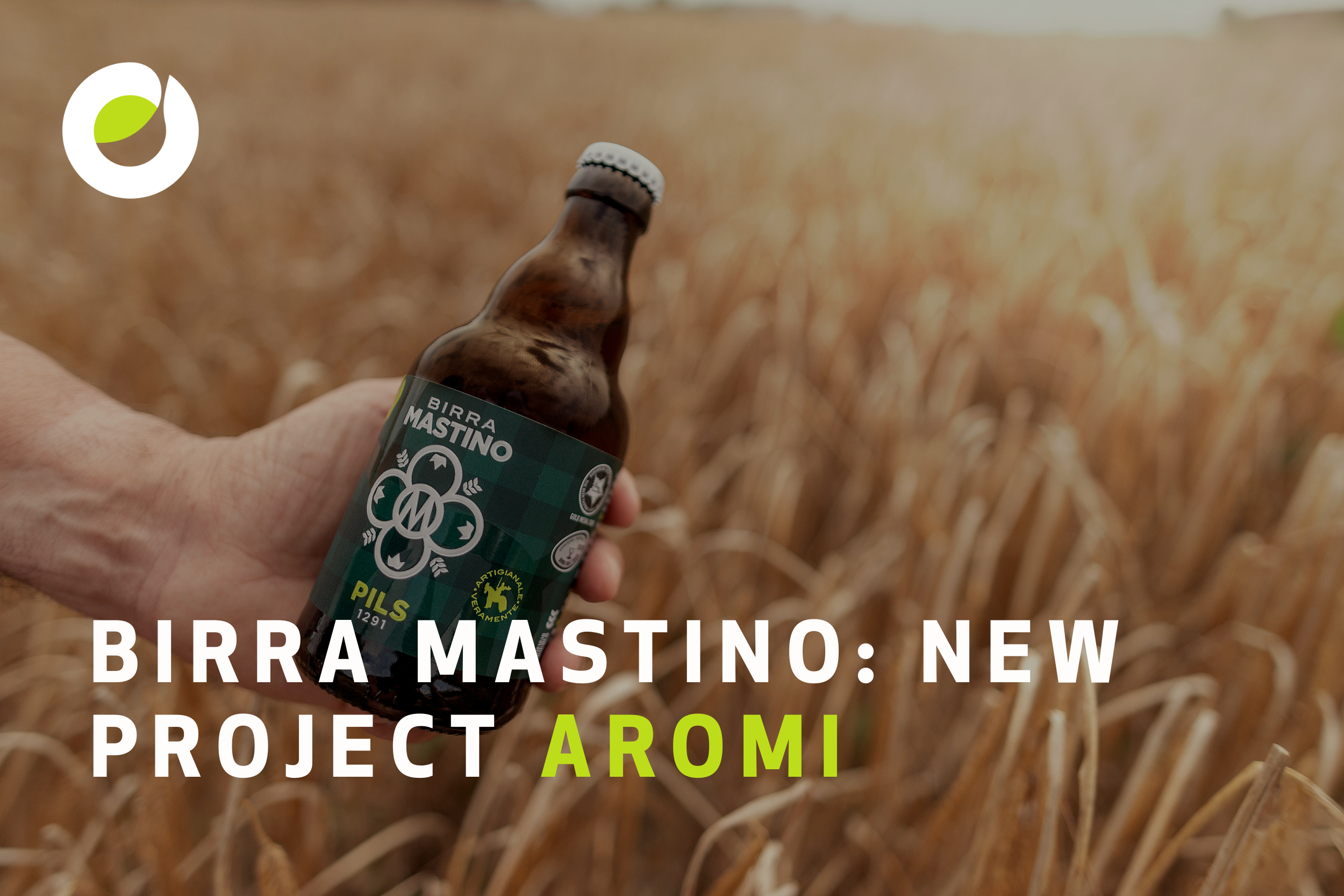 New Project: Birra Mastino