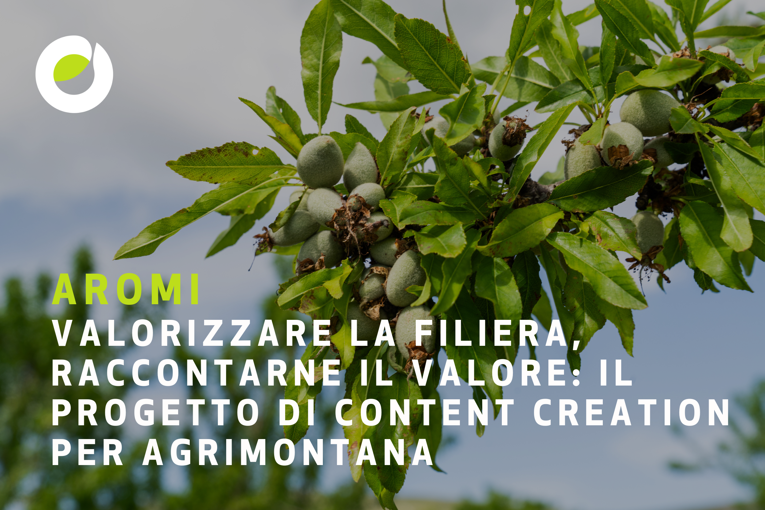 Valorizzare la filiera, raccontarne il valore: il progetto di content creation per Agrimontana